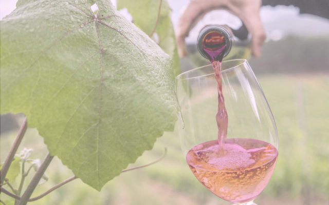 Cristina Mantilla Vino Rosado